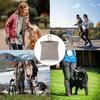 Stain-resistant Dog Training Snack Bag With Carabiner Walking Dog Snack Bag  Pet Store