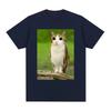 Cat Owl Funny Meowl Meme Brainrot T-shirts Men's Women Clothing Fashion Harajuku Short Sleeves T-shirt Cotton Oversized T Shirts