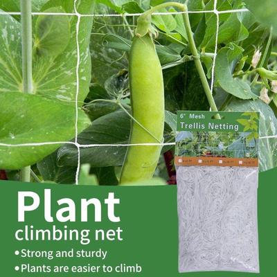Garden Plant Climbing Net Heavy Polyester Morning Glory Vine Climbing Net Hydroponic Garden Net Plant Growth Net Support Grille Mesh Garden Tools