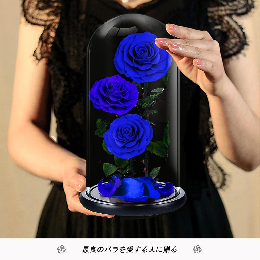Luckystar Beauty and The Beast Handmade preserved flowers made with real never eternal 3 blooms in a glass gift perfect for anniversary or as a gift