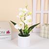 5 Plantas Simuladas de Phalaenopsis en Maceta para Decoración de Hogar y Oficina Plantas Pequeñas en Maceta Falso Bonsái Plantas Verdes