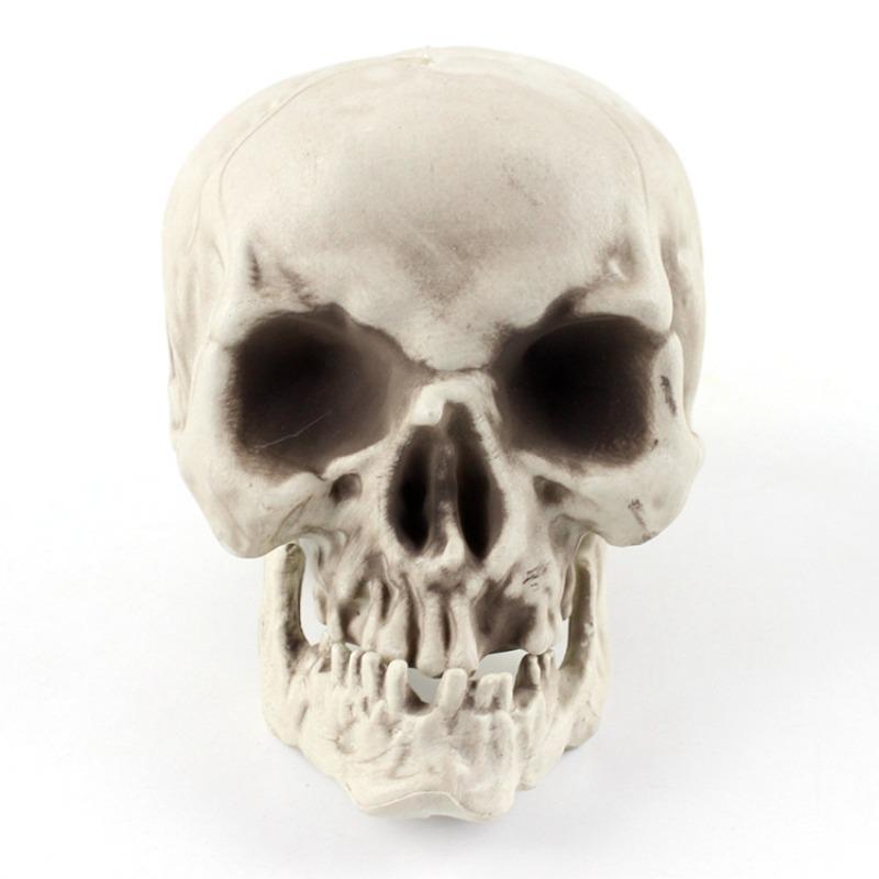 Realistic Human Skull Model - Halloween Decoration Prop for Haunted Houses - Creepy Skull Ornament  Convenient Home Decor
