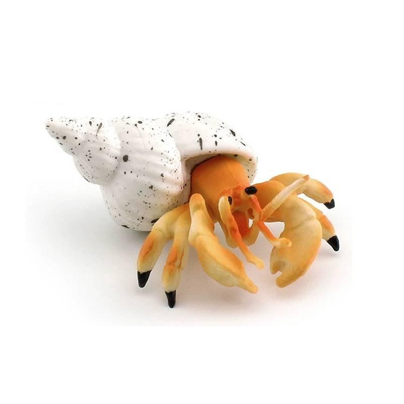 Simulation Marine Animal Pvc Hermit Crabs Sculpture For Kids Learning And Decorative Collection