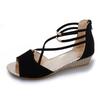 New Style Ankle Strap Shoes - Simple Sandals for Women