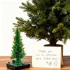 Programmable Christmas Tree DIY Colorful Easy Making Kit with Multiple Light Modes Educational Circuit Project