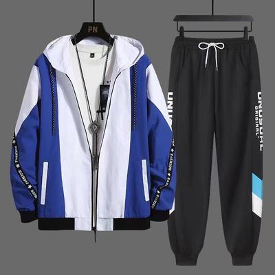 Träningsoveraller för män 2-delade träningsoveraller Herr Dragkedja Cardigan Tryck Sweatshirts Träningsbyxor Set Sportkläder