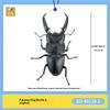 Sota Simulation Insect Model Giant Stag Beetle Palawan Sumatran Biological Illustration Collectible Figurine With Display Stand