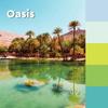 Notes adhésives - post-it - z-notes couleurs oasis - 76 x 76 mm - lot de 10 - super sticky