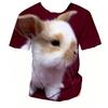 3D Rabbit Print Short Sleeve Tee Summer Kid Apparel For Daily Entertainment Outdoor Trip Weekend Family Relax Time