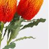 Artificial Banksia Flower Innovative Simulation Light Luxury Artificial Flowers Decorations for