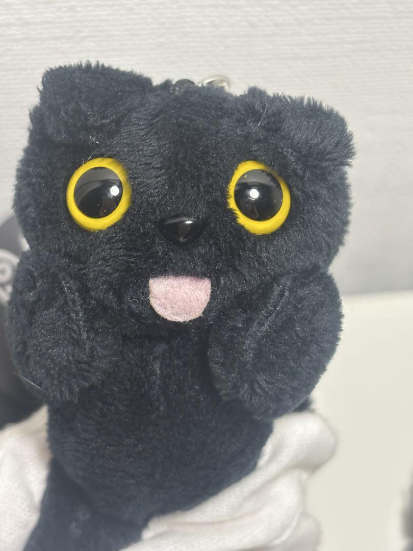 

[USED] New COMFORT keychain key ring loved by many celebrities