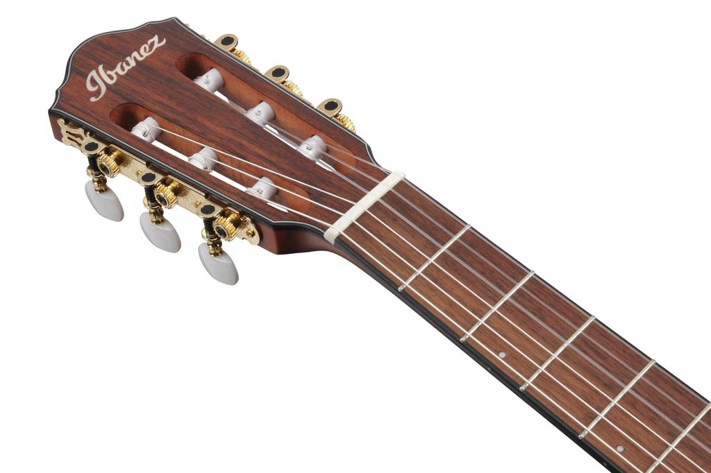 IBANEZ Nylonová akustická kytara pro elektrické hráče Zlatá metalická [Růžová plochá] FRH10N-RGF