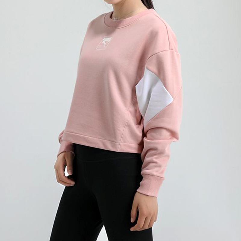 Puma Rebel Colorblock Loose Fit Crew Neck Sweatshirt Women Sweatshirt Pink 586520-15