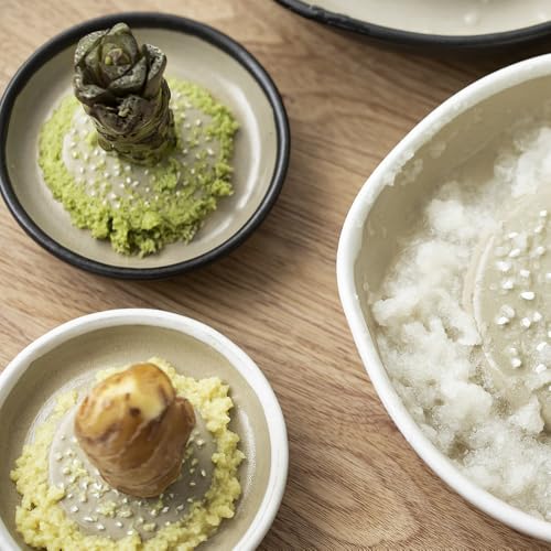 &NE Iwami-yaki Grater, Small, Hare to Ke x Motoshige, White, 10cm Diameter x 2cm Height, Made in Japan, Ceramic, One-Handed Grinding, Non-Slip, Microw