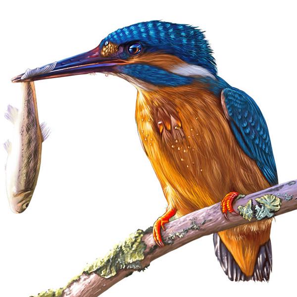 

5D DIY Полный дрель Алмазная картина дятел Вышивка крестом Стразы Мозаика