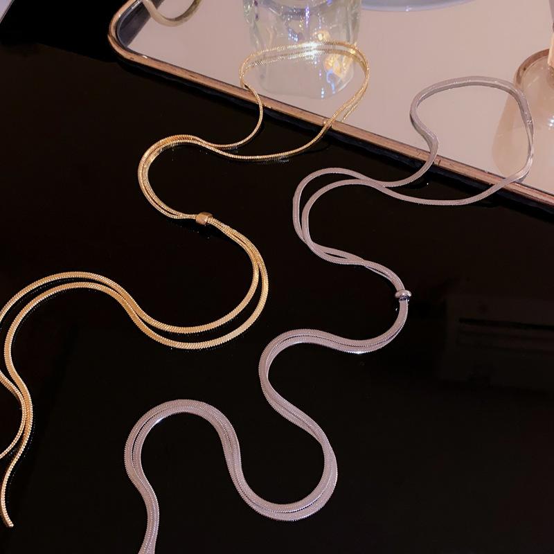 Snake bone chain adjustable necklace fashionable exaggerated collarbone chain cold wind neck chain