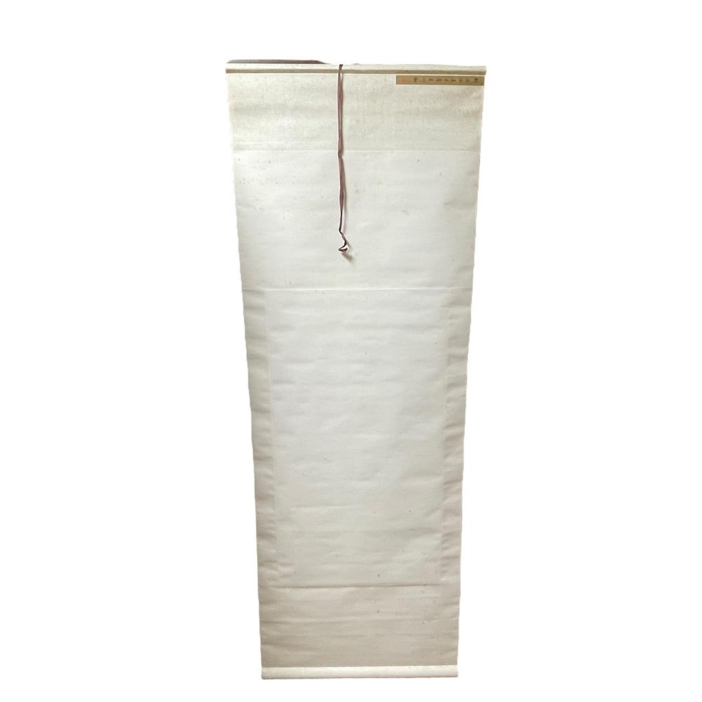 Używany Obraz unisex