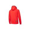 Puma Athletics Logo Color Block Hoodie Men Tops Red 844128-11