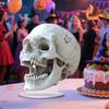 2D Skull Acrylic Sign Gothic Flat Skull Decoration Desktop Human Skull Ornament for Cabinet Mantel Halloween Decoration