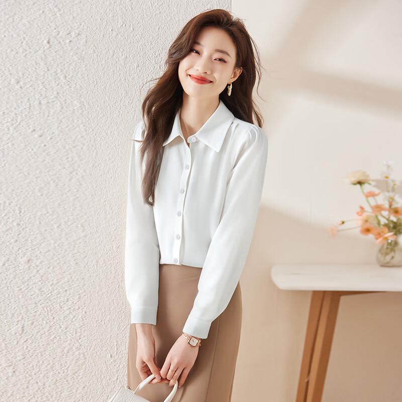 Women's Long-Sleeve Professional Chiffon Blouse