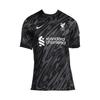FCDri-Fit FW24 Liverpool Football Club Logo Gestickt Allover-Print Bequemes Lässiges Kurzarm-Fußballshirt Herren Tops FN8802-061