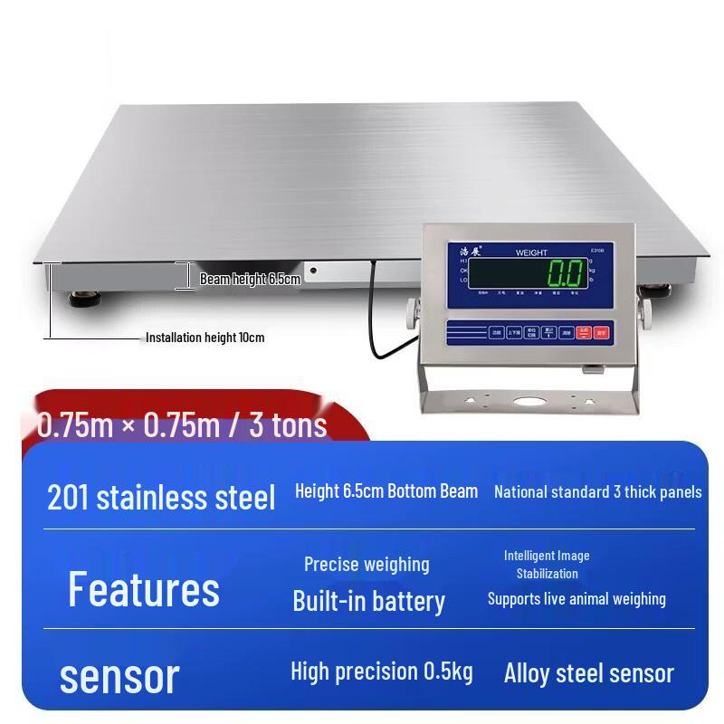Haozhan Stainless Steel Industrial Floor Scale (CN Version)