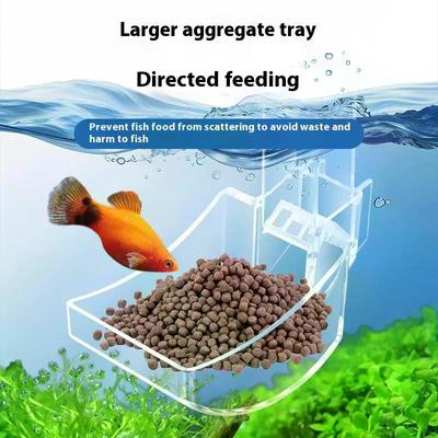 Fish Tank Feeding Bowl, Acrylic Aquarium Feeder Tube Dish for Shrimp and Snail