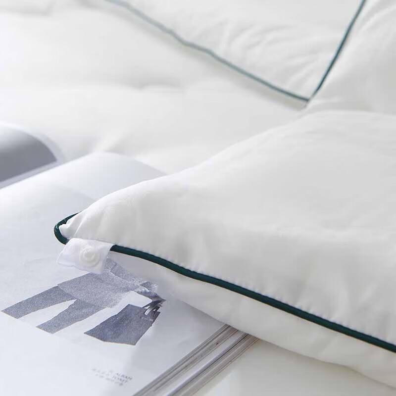 Dohia Mugwort Anti-bacterial All-Season Quilt