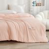 Yilian Class A Brushed Cashmere Protein Antibacterial Winter Quilt