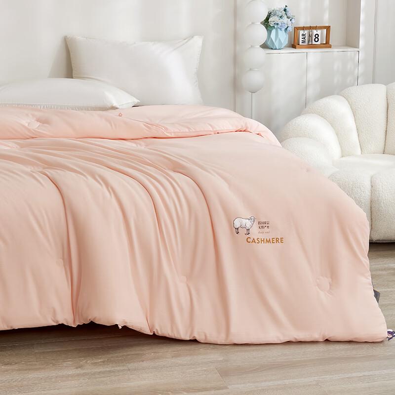 Yilian Class A Brushed Cashmere Protein Antibacterial Winter Quilt