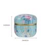 Tea Sealed Can Small Iron Sealed Can for Storage 6Pcs with Lid Assorted