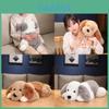 Delightful Fluffy Long Hair Two Tone Dog Plush Toy For Cozy Decorative Accents
