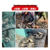 Fahrenheit Bait Steel Balls for Autumn/Winter Crucian Carp Fishing - No. 2, No. 4, No. 6
