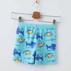 Boys' Cartoon Swim Trunks