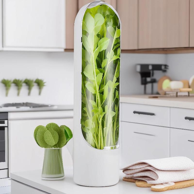 Nuova Tazza Vanilla per la Conservazione Fresca Contenitore per la Conservazione delle Verdure Scatola di Bambù per la Conservazione delle Verdure