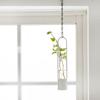 TETSUNAGI Flower Vase (White) [Made In Tsubame-Sanjo] Single Flower Vase, Hanging Steel, Hanging Glass Test Tube, Mini Wall-Mounted, Made In Japan,