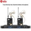 HuiDu HDQ-6603 Professional True Diversity Wireless Microphone System (CN Version)