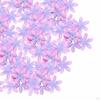 300 Pcs Artificial Flower Petals, Reusable for Outdoor Party Tables