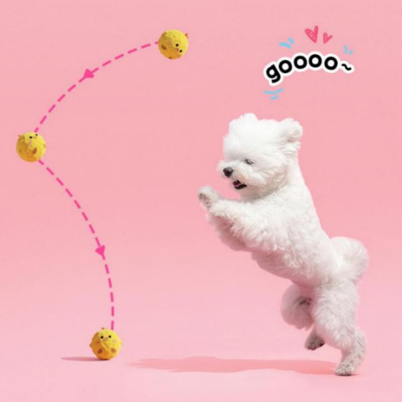 TPR Cartoon Training Ball Indestructible Plush Dog Play Toy With Squeaker Small Dogs Tough Toy Pet Supplies Tooth Chew Cute Toys