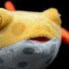 Cute Pigmy Boxfish Fish Plush Dolls Simulation Marine Animals Fish  Plush Educational Toys
