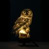 Durable Colorful Owl Solar Garden Light Realistic Waterproof Landscape Lawn Lamp Iron Cordless Solar Stake Light Patio Walkway