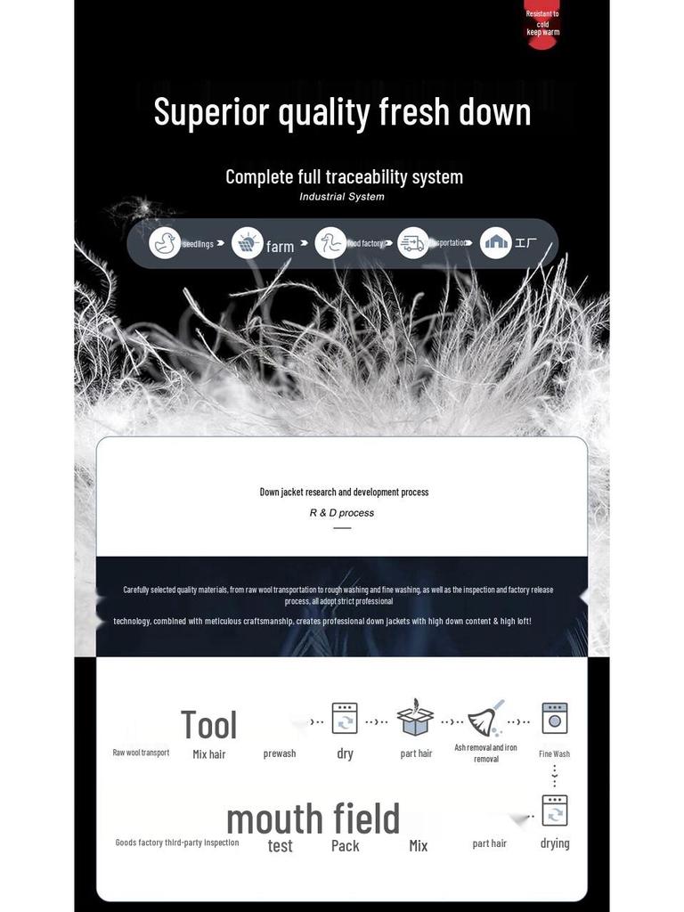 Damen 90% Daunen Kapuzen Kurz Steppjacke