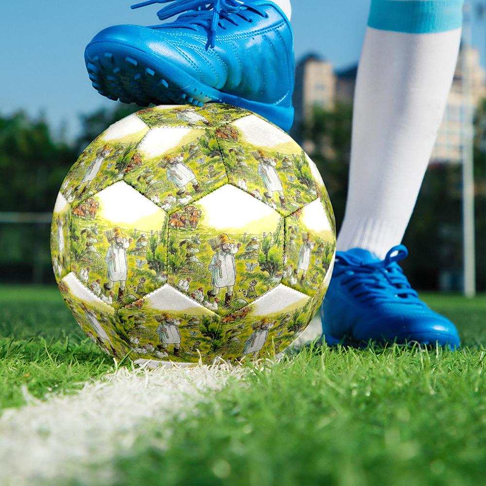Pettson and Findus Theme Size 5 Soccer Ball, Suitable for Both Indoor and Outdoor Matches, a Gift Suitable for Everyone.