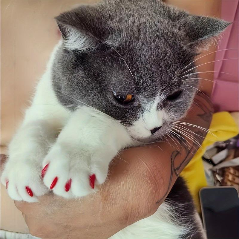 Pet Supplies Pet Pet Nail Caps for Dogs Cats Anti-Scratch Silicone Toe Claw Covers Decor Set