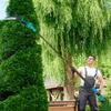Mini Battery Chainsaw 8 Inches 6000mAh 580W Cordless Pruner for Branches and Garden Telescopic Pole Blue