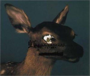 

CD BUGY CRAXONE; YUKIKO SUZUKI - Niji VICL35133 Japan Japanese Pop/Rock Used