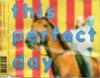 CD THIS PERFECT DAY - She's Got A Horse Of Her Own SNAPC6 Snap Records 1992 UK Rock Used