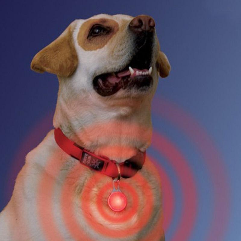 led pet collar