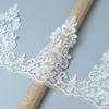 Eyelash Car Bone Lace Lace Transparent Piece Clothing Hem Decorative Lace 21Cm