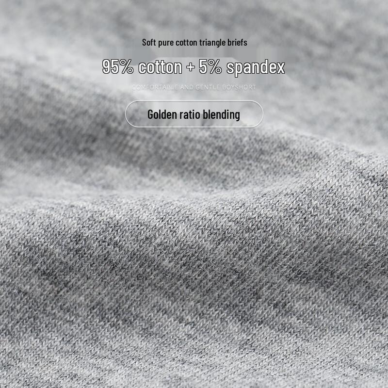 Langsha Men's 4-Pack Cotton Briefs with Mulberry Silk Crotch